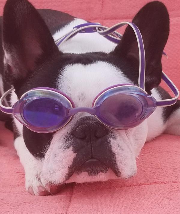 /Images/uploads/Humane Rescue Alliance/HRACalendarPhotoContest/entries/8547thumb.jpg